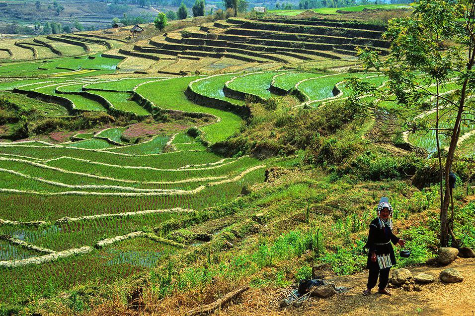 Shan Traditional Attire